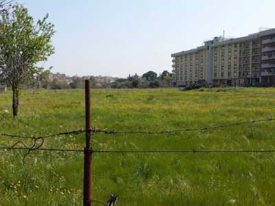 Il campo di Valenzano che sar� adibito a diamante per il baseball barese